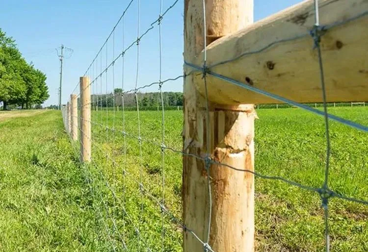 Farm Fence Galvanized Steel Wire High Quality Factory Direct Sales