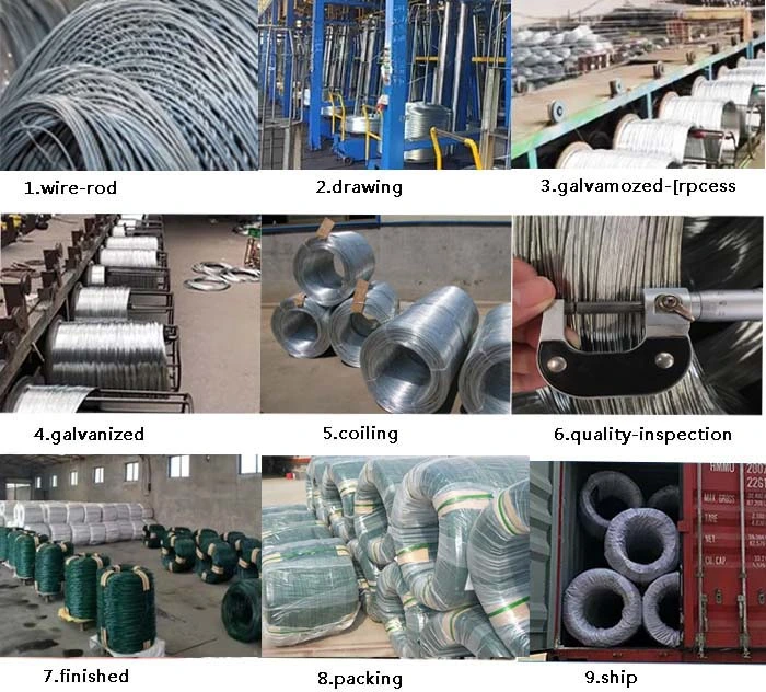 Factory Supply PVC Coated Galvanized Wire Rope Gym Equipment Steel Wire Cable