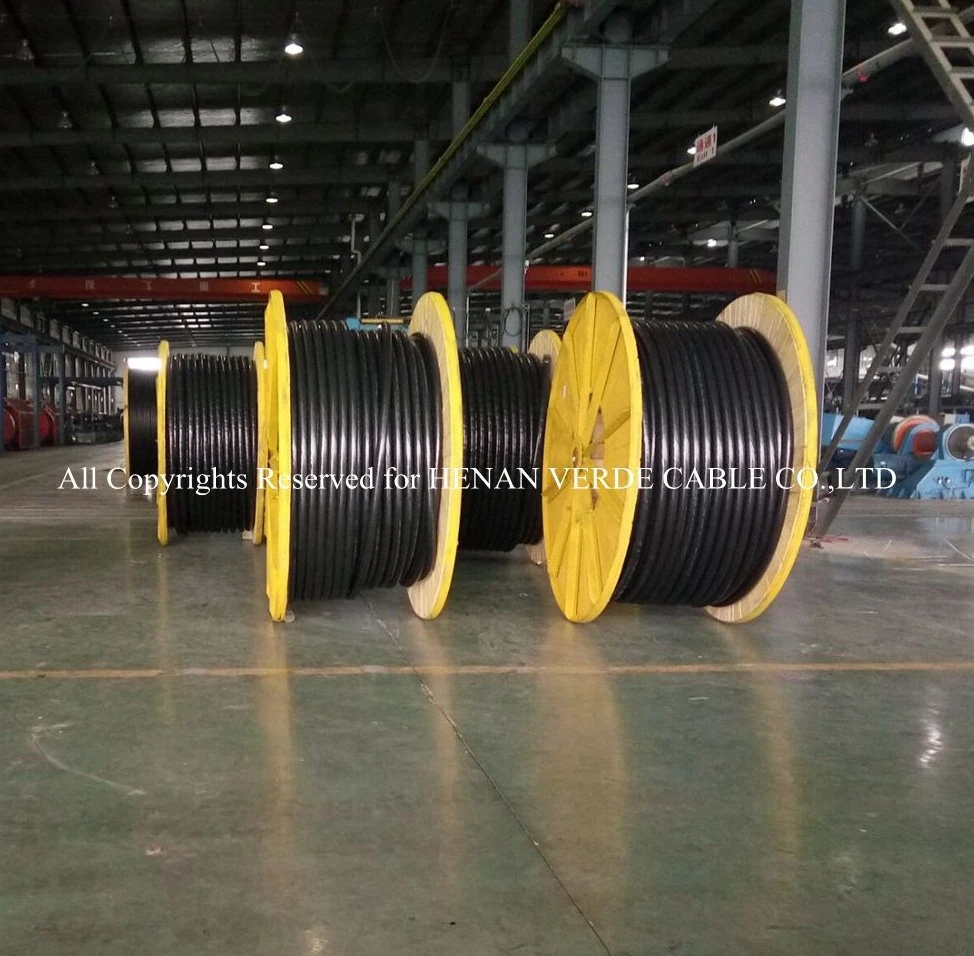 China Factory Direct Customized Stainless Steel Wire Armoured Power Cable