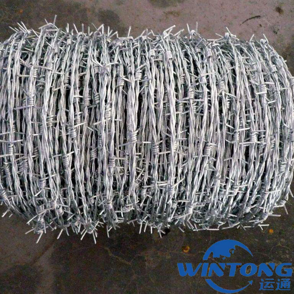 Galvanized Barber Wire for Bank Protection and Safety
