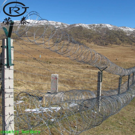 Security Razor Wire Mesh Galvanized Safety /Decorative Barbed Wire Fencing/Barbed Wire Mesh