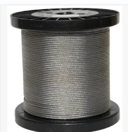 China Manufacturer Stainless 7X7 Steel Wire Rope with Material AISI304