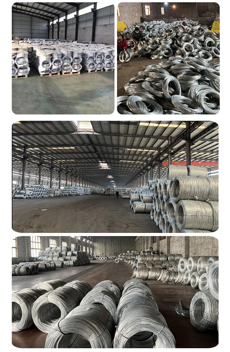 Factory Cold Drawn Galvanized Steel Wire SAE ASTM1006/1008low Carbon Steel Wire 1050 Wire High Tensile Steel Wire/Annealed Steel Wire/Rope0.1mm-14mmspring Wire