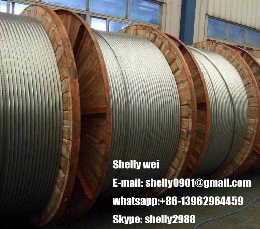 Manufacturer Galvanized Steel Wire Rope High Quality 6*19s+FC for Crane