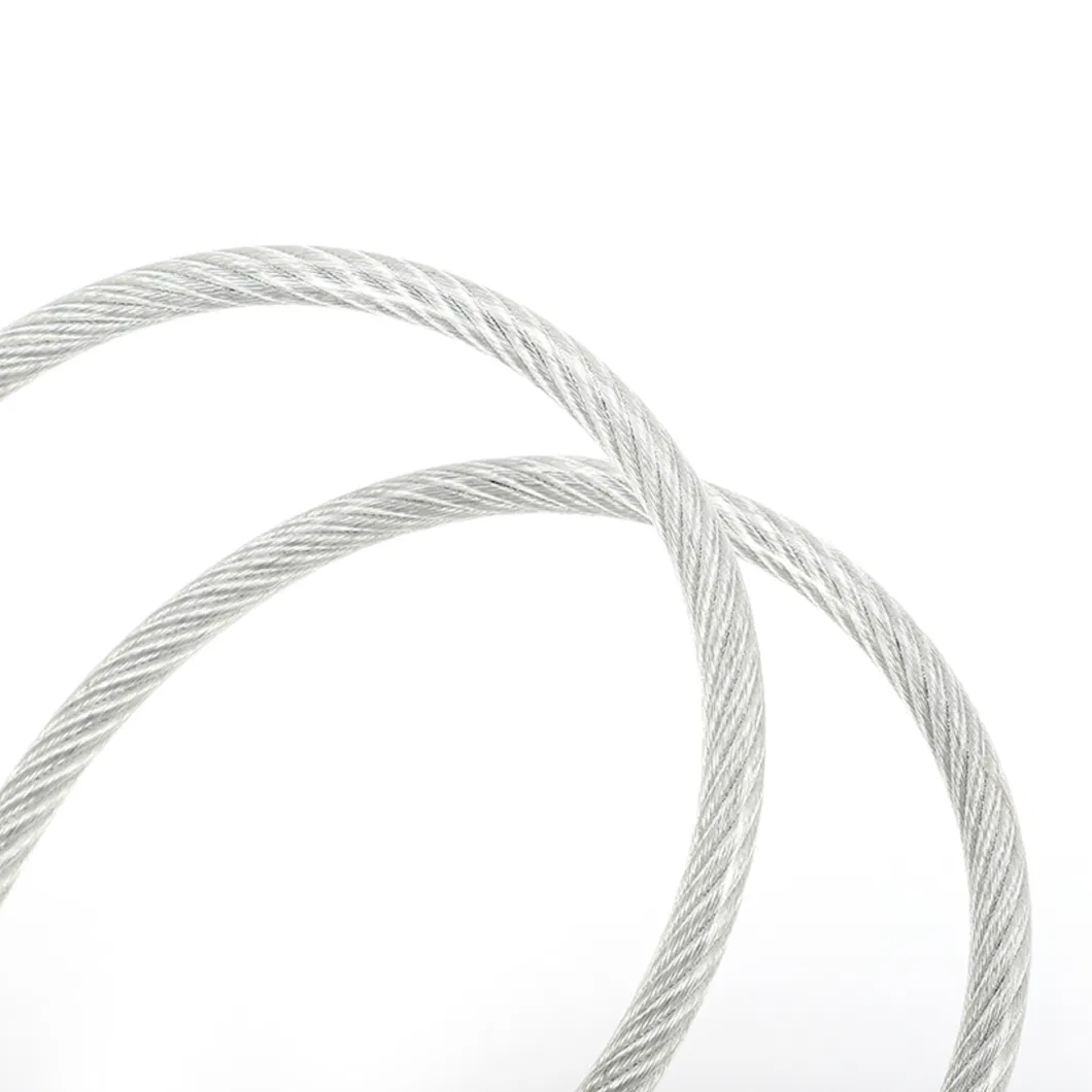 304 Material Stainless Steel Coating PVC Nylon Wire Cable Rope