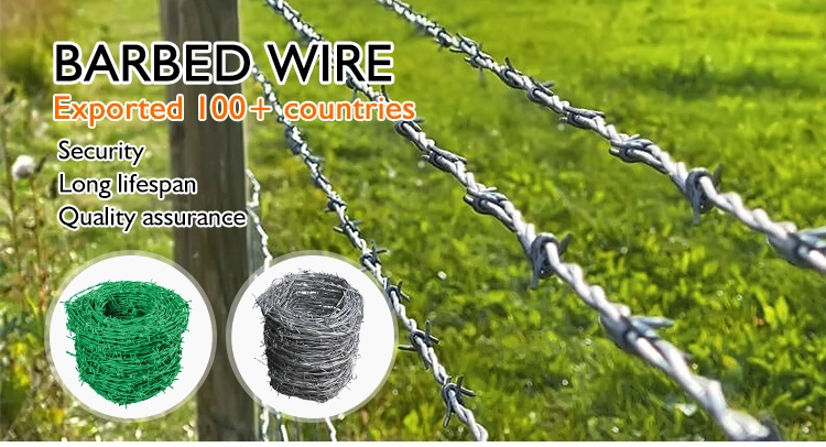 Galvanized/PVC Coated Metal Iron Barbed Wire Safety Barb Wire Galvanized Iron Wire
