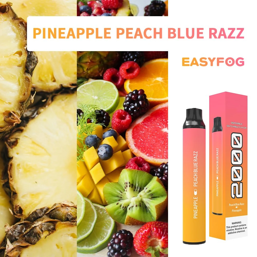 Disposable Vape Pod Vaporizer Wholesale Vape Customized Logo High Quality Vapor Mesh Coil All Fruit Flavors Smokeless Vaporizer