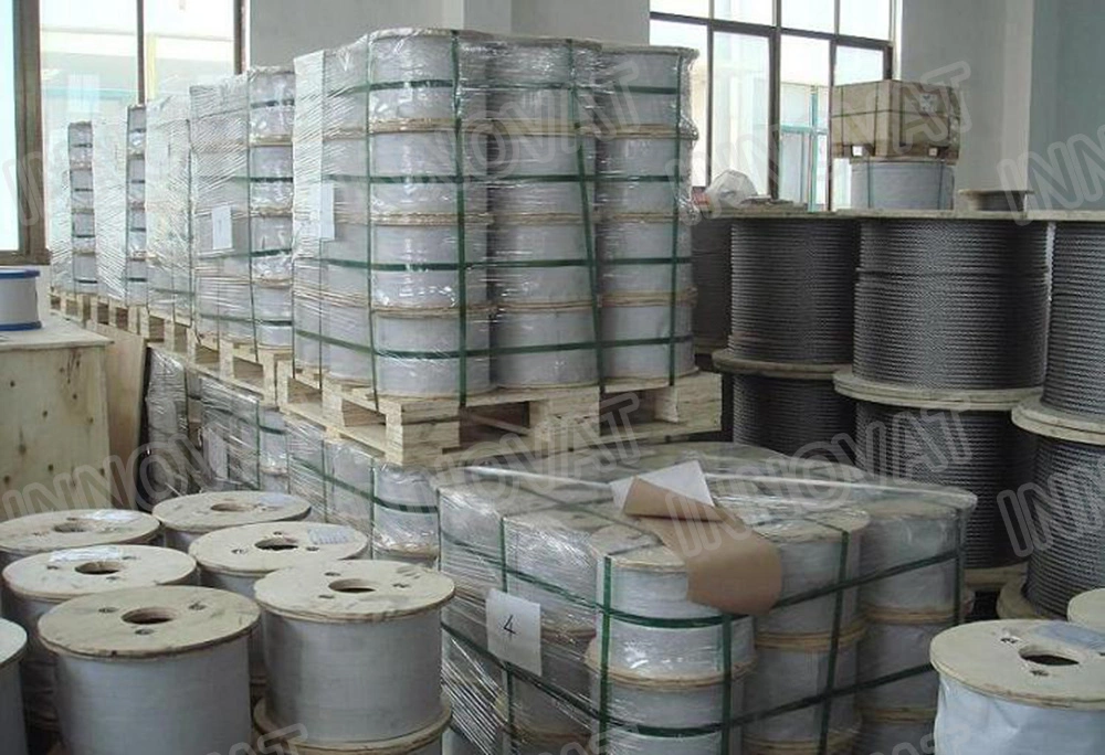 Hot Dipped Galvanized Bright 304 316 Steel Wire Rope/Zinc Coated Steel Wire