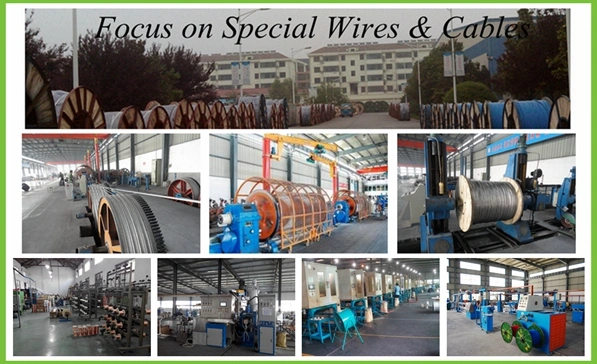 China Factory Direct Customized Stainless Steel Wire Armoured Power Cable