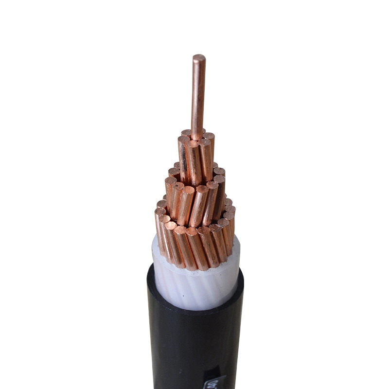 Rated Voltage 0.6/1 Kv XLPE Insulation Stainless Steel Tape Armored Power Cable