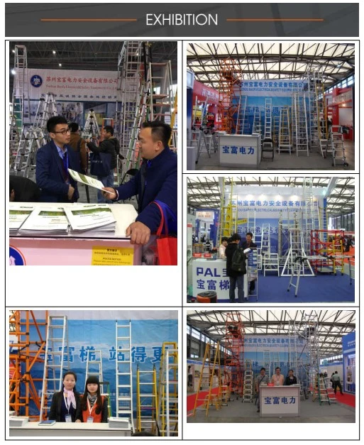 Good Quality D Shaped Rung Aluminum Rope Operated Double Extension Ladder