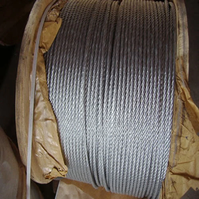 Wire Cable Wire Rope Sling Safety 1.2mm 1.5mm 7X7 Galvanized Steel Wire Rope Assembly Tension Cable Steel