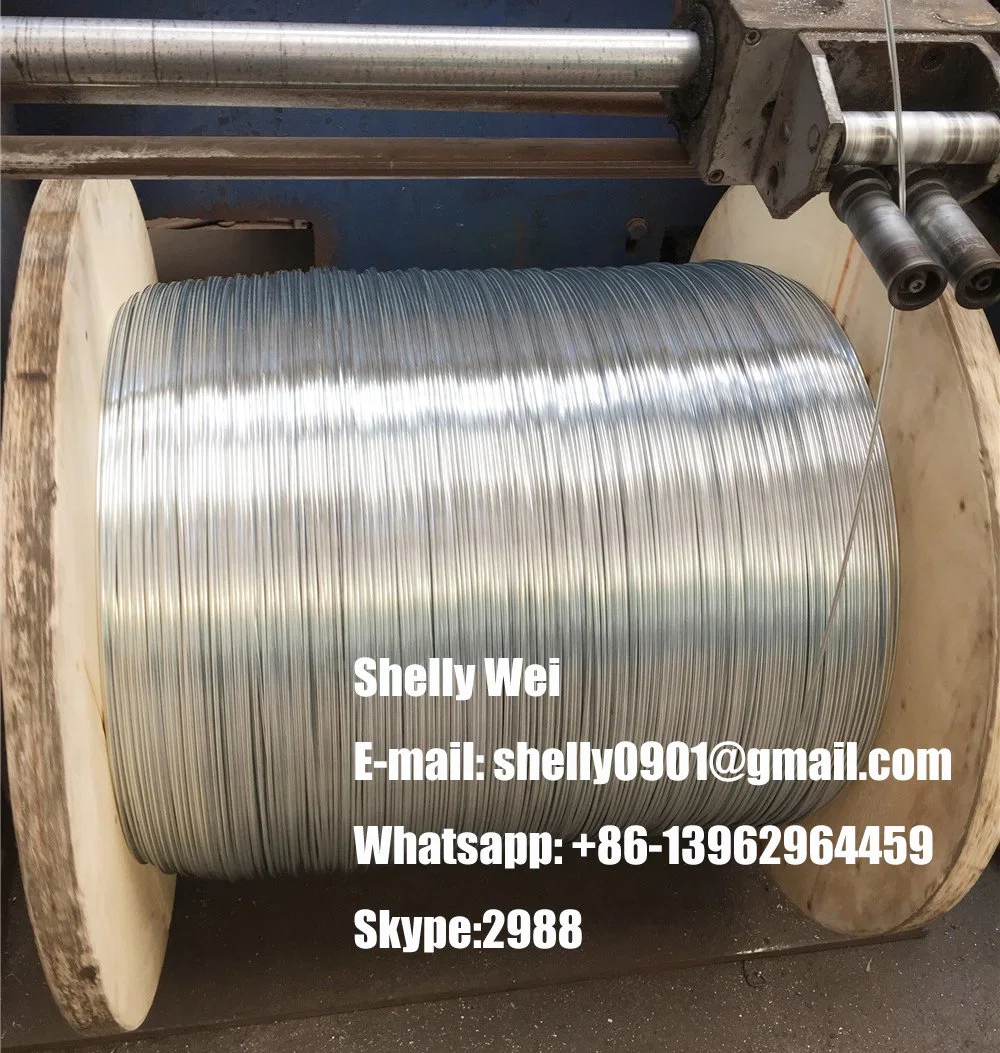 Manufacturer Galvanized Steel Wire Rope High Quality 6*19s+FC for Crane