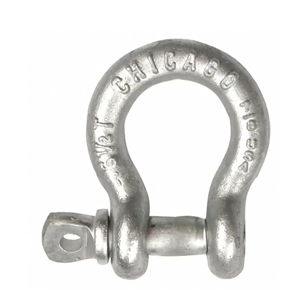3/4&quot; Stainless Steel Wire Rope Shackle Forged Black D Ring Shackle
