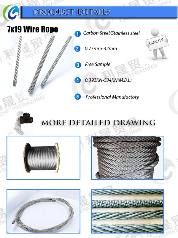 Stainless Steel Galvanized Carbon Steel Wire Rope