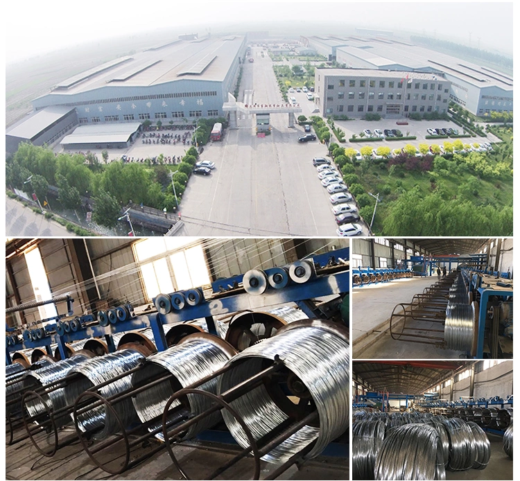 ISO CE ASTM GB Gi Unalloy Metal Iron High Carbon Spring Stainless Steel Galvanized Copper Wire Drawn Manufacture Rope Building Package