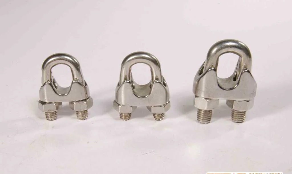 High End Customized Stainless Steel DIN741 Wire Rope Clip with SGS Certification