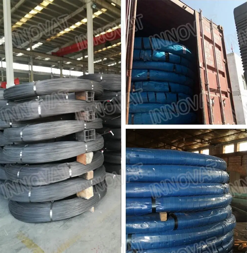 Hot Dipped Galvanized Bright 304 316 Steel Wire Rope/Zinc Coated Steel Wire