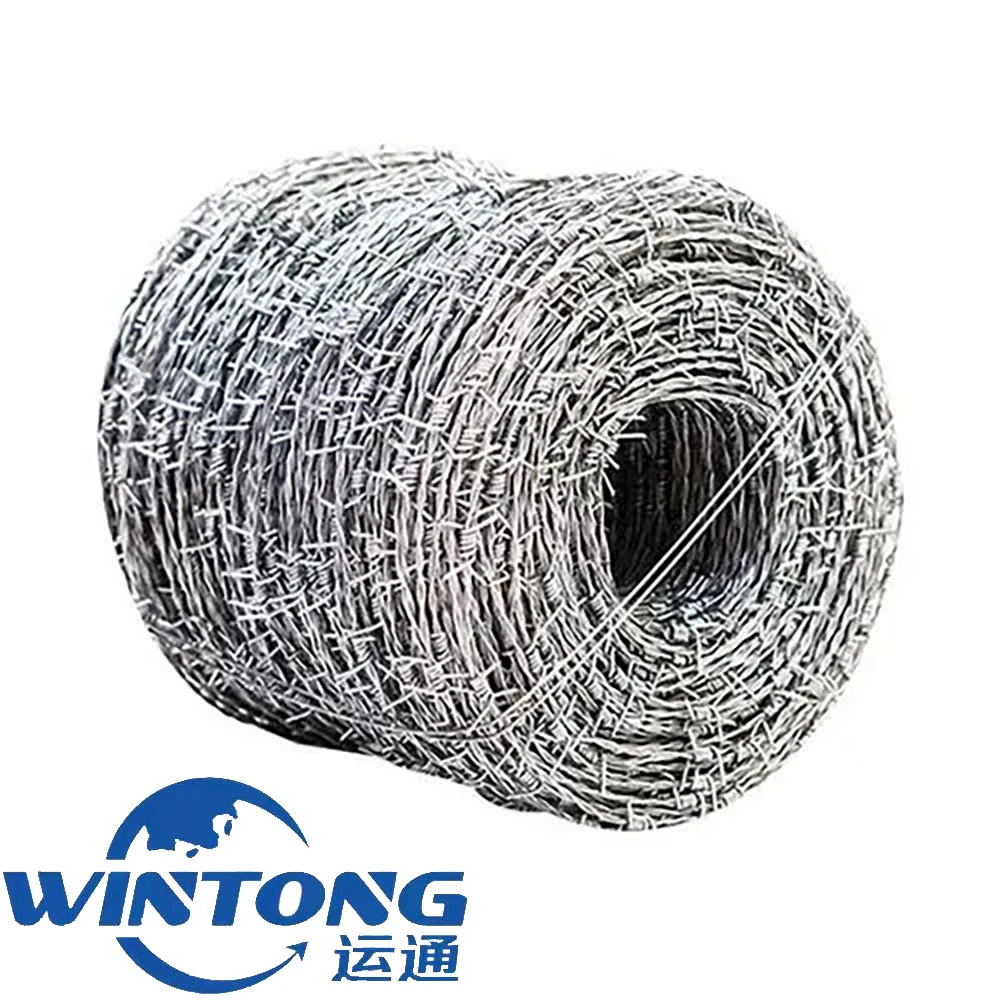 Galvanized Barber Wire for Bank Protection and Safety