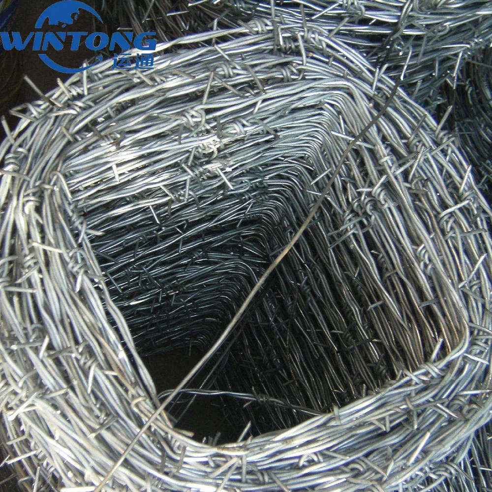 Galvanized Barber Wire for Bank Protection and Safety