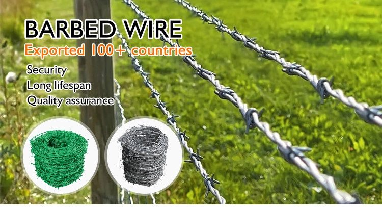 Factory Direct Sales Farm Cheap Price 1.8mm 2mm 200m 500m Protecting Mesh Prison Twist Iron PVC Coated Double Hot Dipped Galvanized Barbed Wire