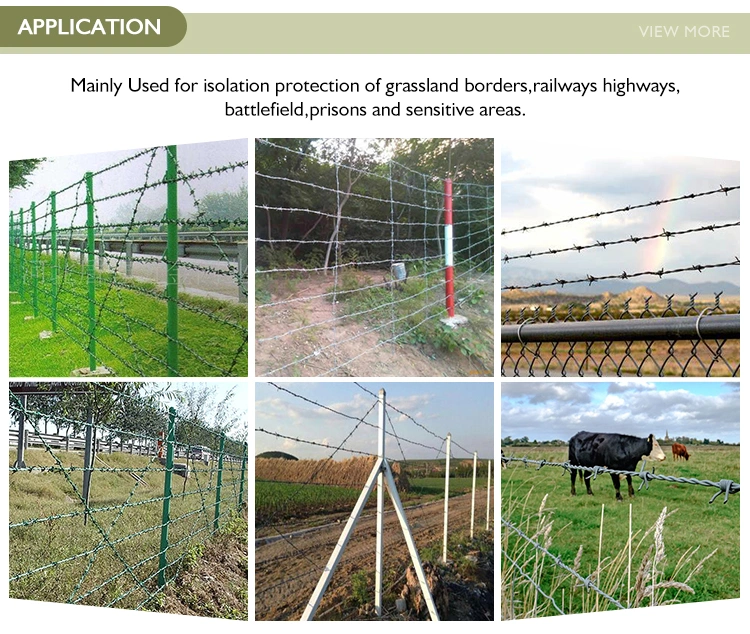 Galvanized/PVC Coated Metal Iron Barbed Wire Safety Barb Wire Galvanized Iron Wire