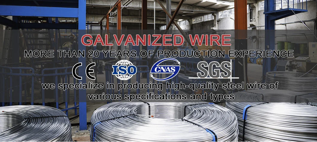 High Quality Galvanised Binding Wire Gi Steel Wire 9 10 12 14 16 Gauge Galvanized Iron Wire for Nail Fence Mesh