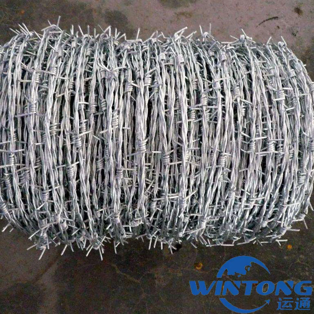 Galvanized Barbed Wire for Grassland Boundary Protection and Safety