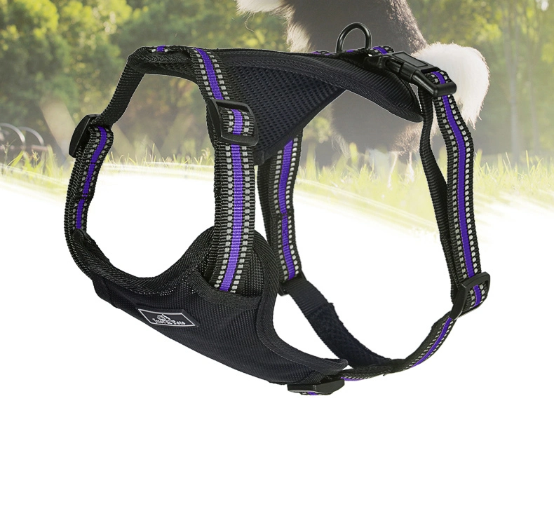 Best New Top Selling Pet Chest Straps Breathable Vest Dog Leashes Dog Rope Leash Harness