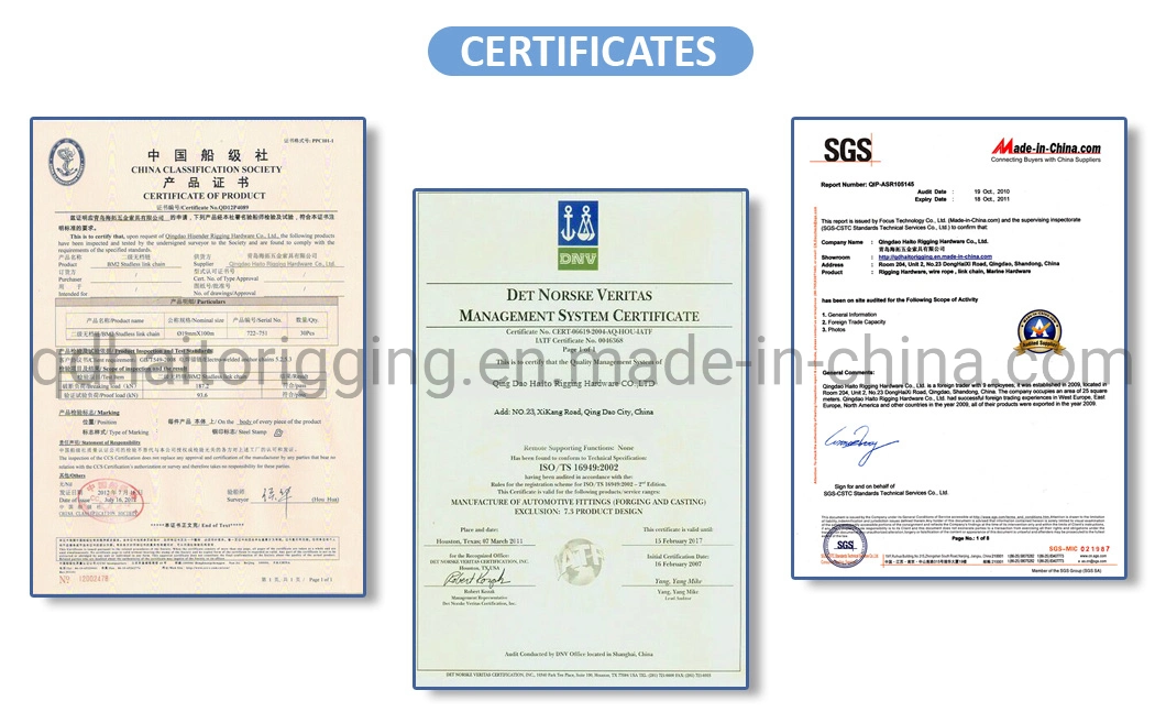 High End Customized Stainless Steel DIN741 Wire Rope Clip with SGS Certification