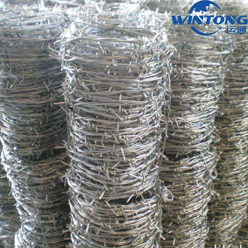 Galvanized Barber Wire for Bank Protection and Safety