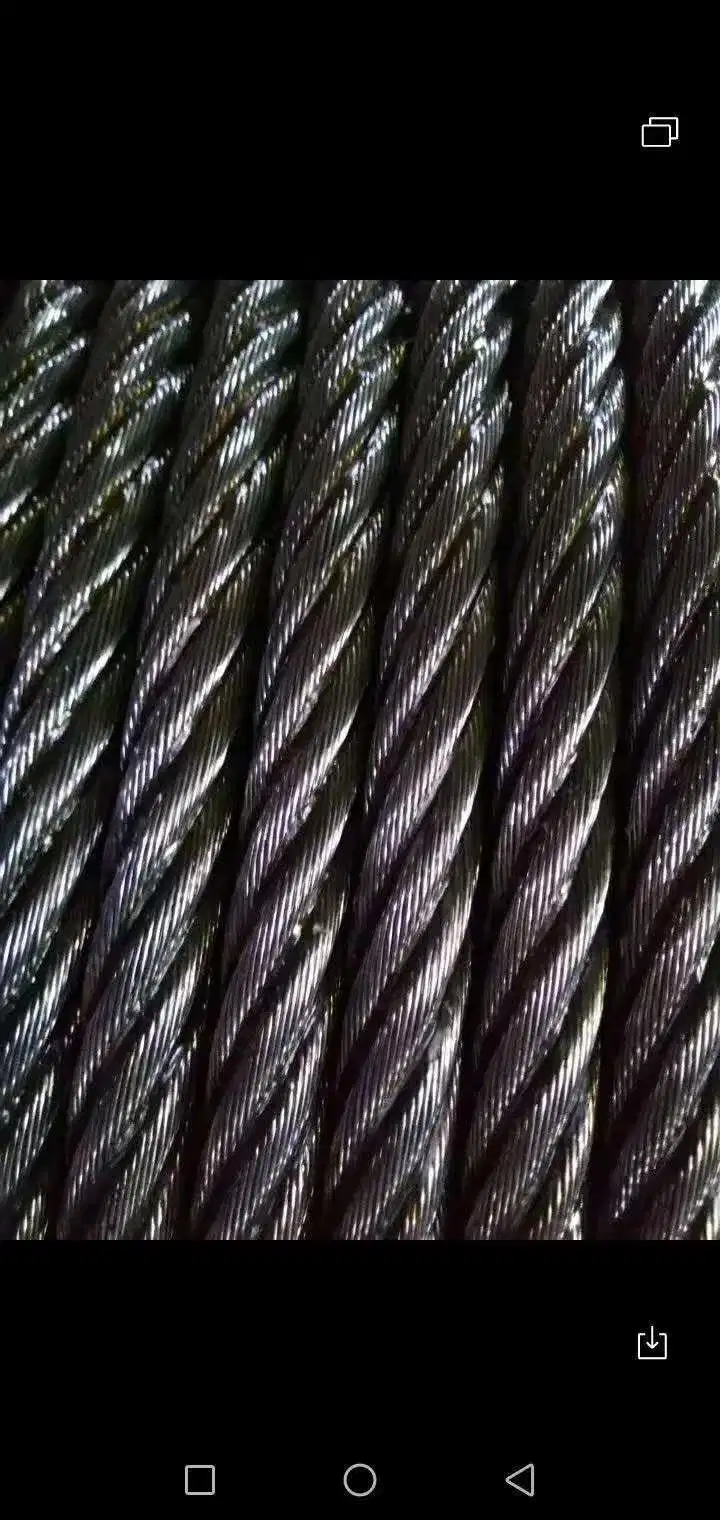 PVC Coated Stainless Steel Bridle Crane Wire Rope Slings Cable with Hook and Loop