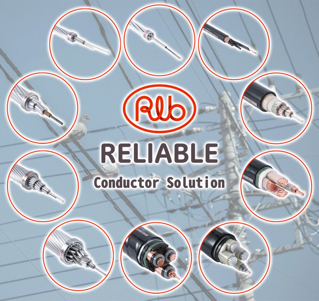 Galvanized Steel Wire Conductor for ACSR Supply Electric Wire &amp; Cable
