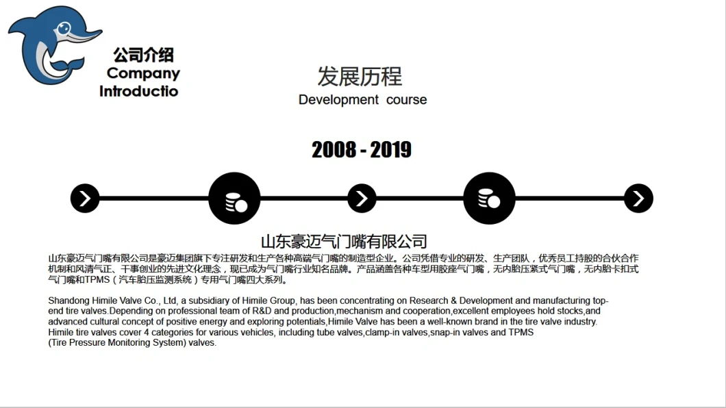 Himile Car Tyre Convertible Tube Tyre Valve Tr445 Bus Tyre Valves Truck Tyre Valves.