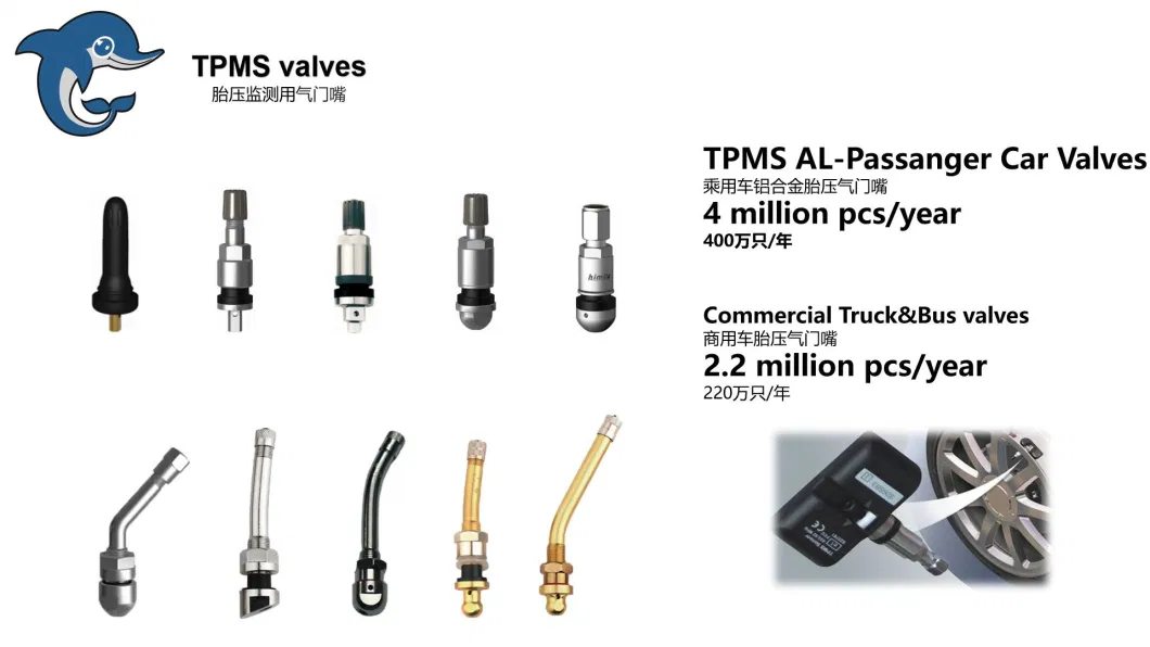 Himile Car/Auto Accessory V3-20 Series Tubeless Clamp-in Copper/Brass Air Inflator Tire Valve For Truck and Bus V3-20-6