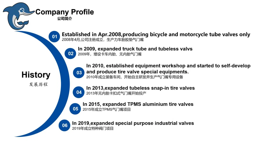 Himile Car Tyres Tr543 Vehicle Valve Truck Tyre Auto Parts Wheel Valve Bus and Heavy-Duty Truck Valves Tubeless Valve Clamp-in Valve.