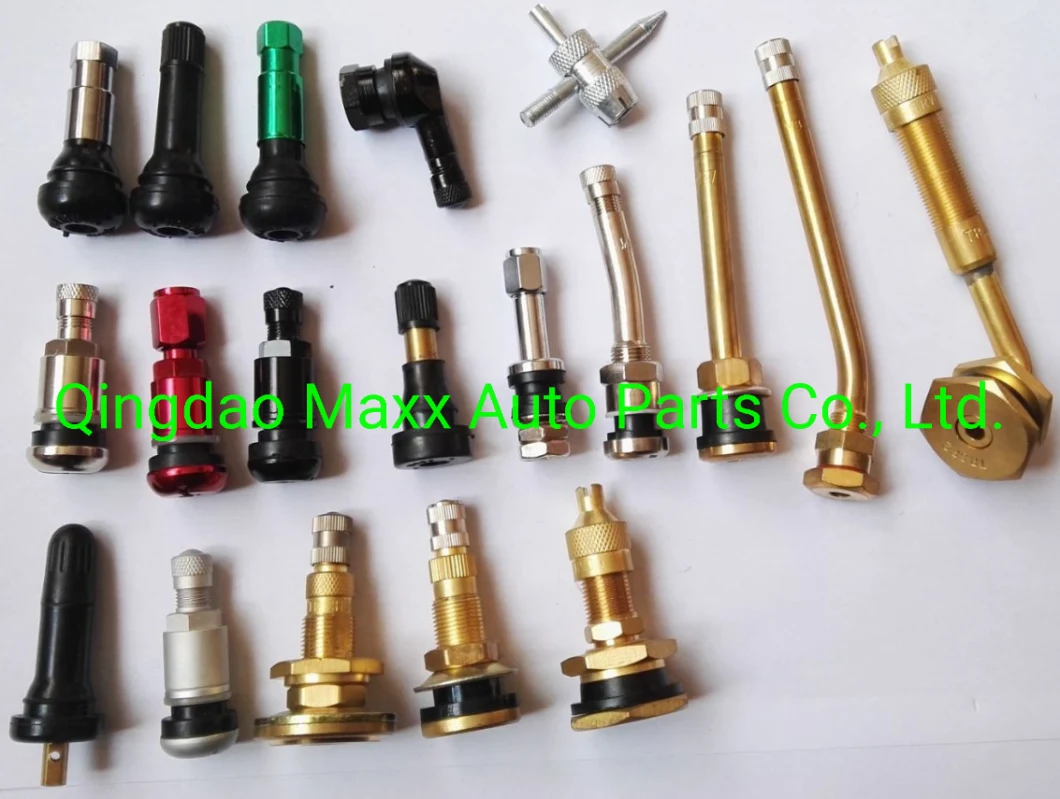 Tire Valve V3.20 Series O-Ring Seal Clamp-in Brass Tire Valve for Truck and Bus