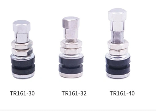 Hot Selling High Pressure Zinc Tire Valve Tr161 for Motorcycle and Electrical Bike
