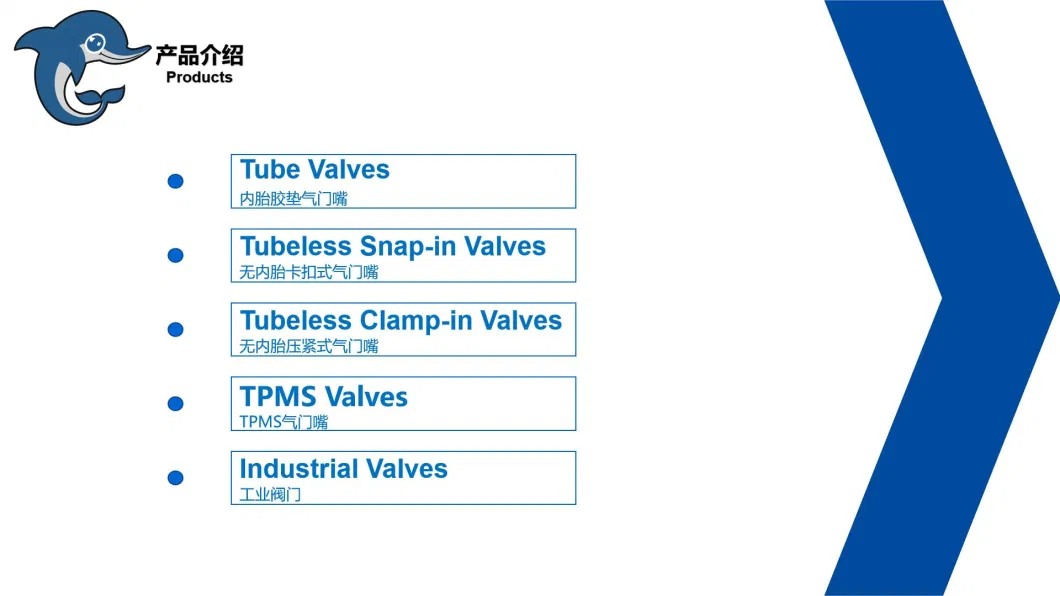 Himile Car Tyres Tr543 Vehicle Valve Truck Tyre Auto Parts Wheel Valve Bus and Heavy-Duty Truck Valves Tubeless Valve Clamp-in Valve.