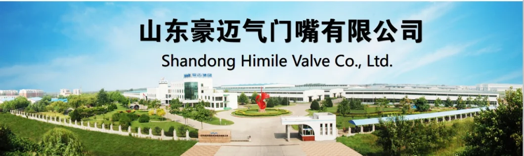 Himile Car Tire Valve OTR Large Bore Tube Valve V3-13-1 High Quality Car Tyre Valve