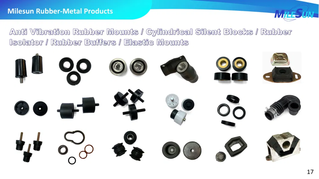 Oil Seal Auto Parts Spare Parts O Rings Assortment Kit