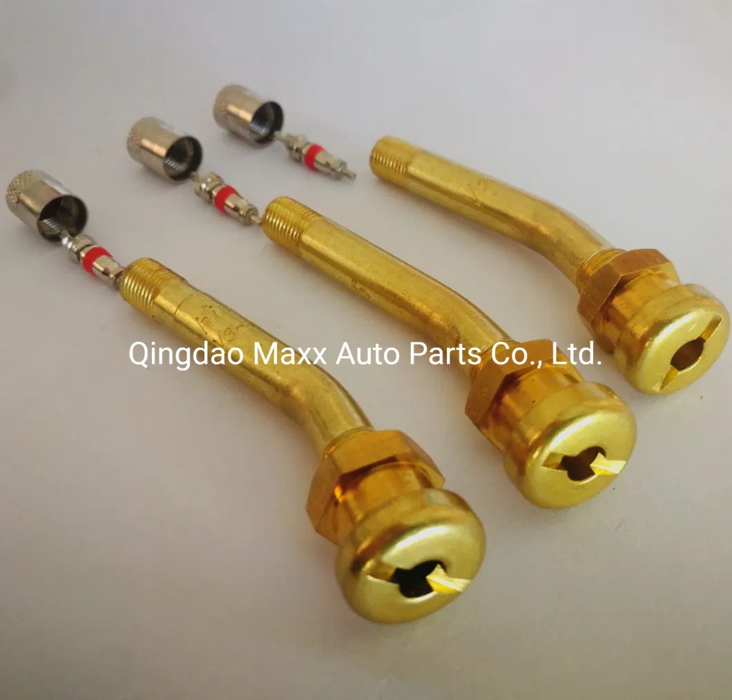 Truck Tubeless Clamp-in Tire Valve