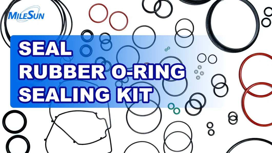 Oil Seal Auto Parts Spare Parts O Rings Assortment Kit