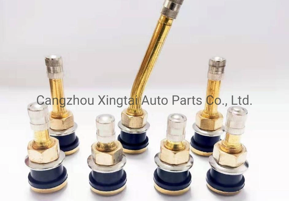 Automobile Parts Tubeless Schrader Tire Valve Brass Stem Chrome Sleevetr412c Tr413c Tr414c Tr415c