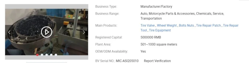 Maxx Auto Parts Snap-in Tubless Tire Valves for Car Wheels