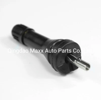TPMS413-2 Reifendrucksensor Ventil Schaft Reparatur-Kit für Mazda Buick KIA Volvo Cadillac Chevrolet