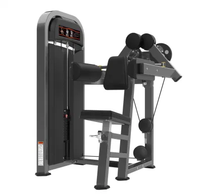 Realleader Fitness Equipment Home Gym Manufacture m2-1002