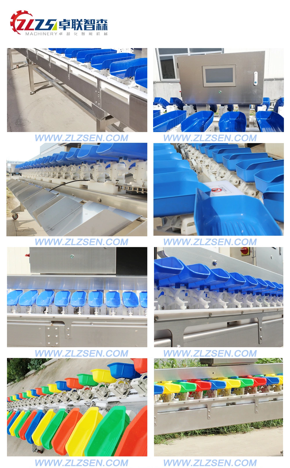 Industrial Dynamic Food Weight Checker with Roller Rejector Sortation Logistics Non-Powered Roller Scales