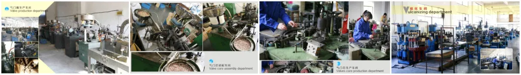 TPMS04 Tire Pressure Sensor Valve Stem Repair Kit for BMW Mercedes Benz