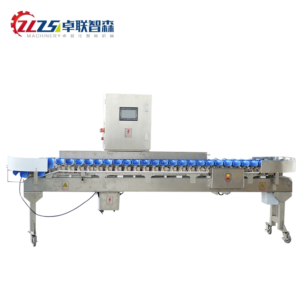 Industrial Dynamic Food Weight Checker with Roller Rejector Sortation Logistics Non-Powered Roller Scales